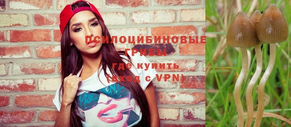 крисы Кукмор