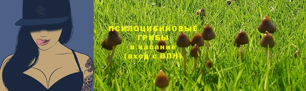 крисы Кукмор