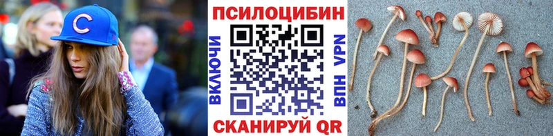 Купить закладки  Горбатов  Псилоцибиновые грибы Cubensis 